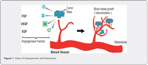 The concepts of Angiogenesis and its implications in oncology!