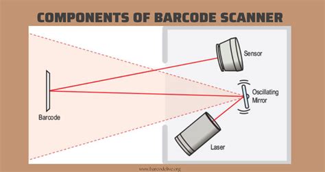 How does a barcode scanner work? Things you need to know