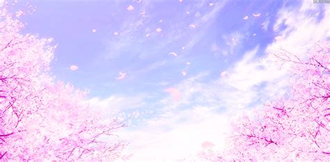 sakura, anime, and pink image | Anime landschaft, Kirschblüten, Pc hintergrund