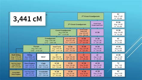 Understanding Your Relationship to DNA Matches After Autosomal Testing ...