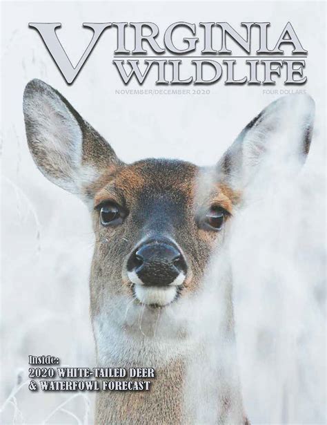 Virginia Department of Wildlife Resources (DWR)