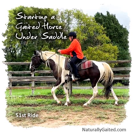 Starting a Gaited Horse Under Saddle | Naturally Gaited Horse