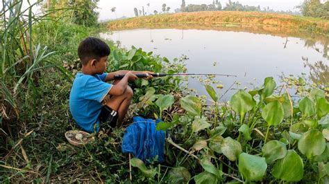 Amazing Fishing Video Little boy hunting big fish by rod ~ Traditional ...