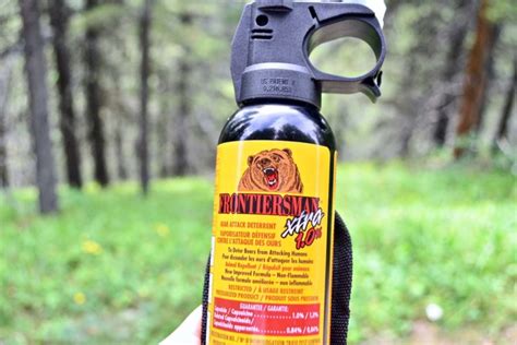 5 Best Bear Sprays in 2022 - Road Affair