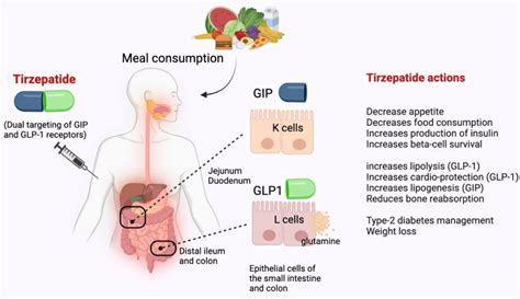 Unlocking the Potential of Tirzepatide in Mexico: Revolutionizing Diabetes