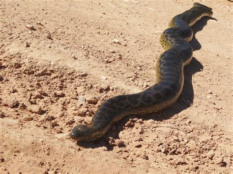 SUCURI | Bioventura Ecoturismo