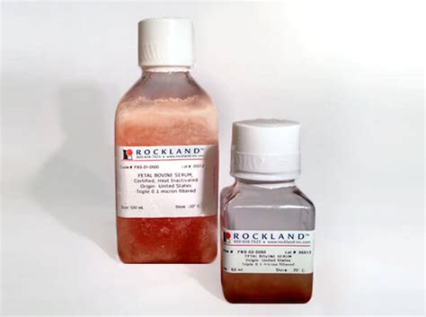 Fetal Bovine Serum, Certified, Heat Inactivated (FBS-01-0100) | Rockland