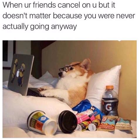 Memes About Staying In | POPSUGAR Smart Living