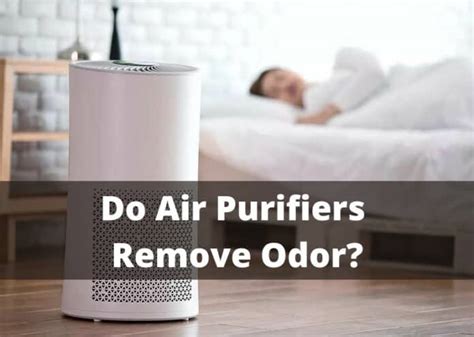 Do Air Purifiers Remove Odor? - IndoorBreathing