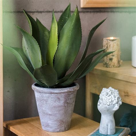 Artificial Large Potted Agave Plant 22.8" – RusticReach