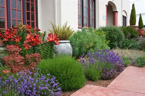 dream gardens: Stredomorská záhrada v našich klimatických podmienkach