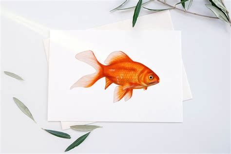 How to Draw a Goldfish - Step-by-Step Pet Fish Sketch