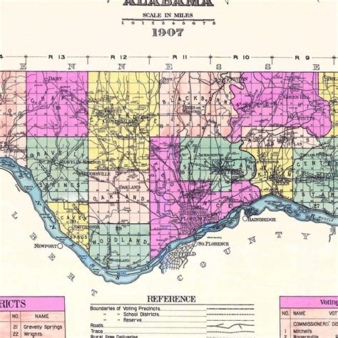 Vintage Map of Lauderdale County, Alabama 1907 by Ted's Vintage Art