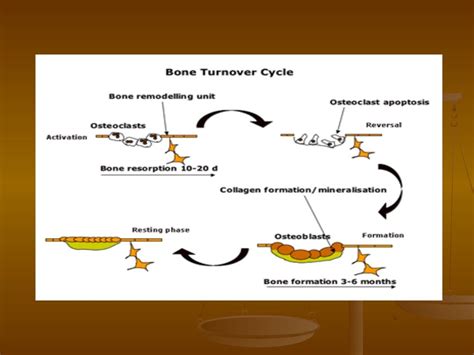 Metabolic bone disease