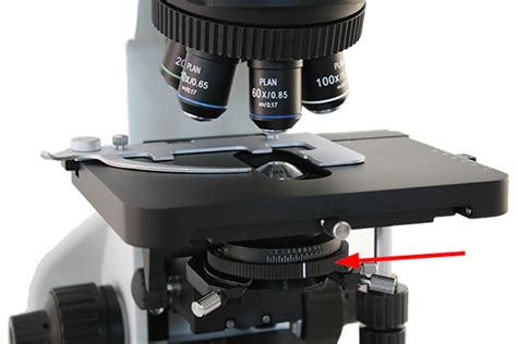 Microscope World Blog