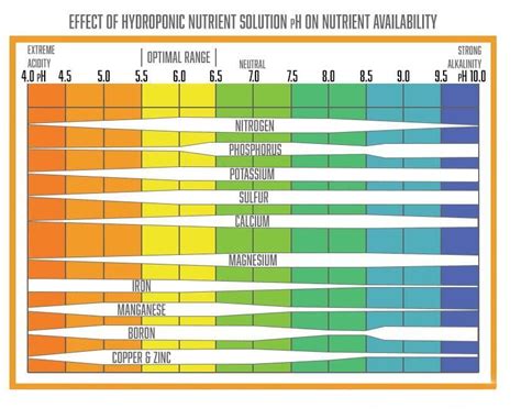 pH and its Importance in Hydroponics. | CityGreens Hydroponics