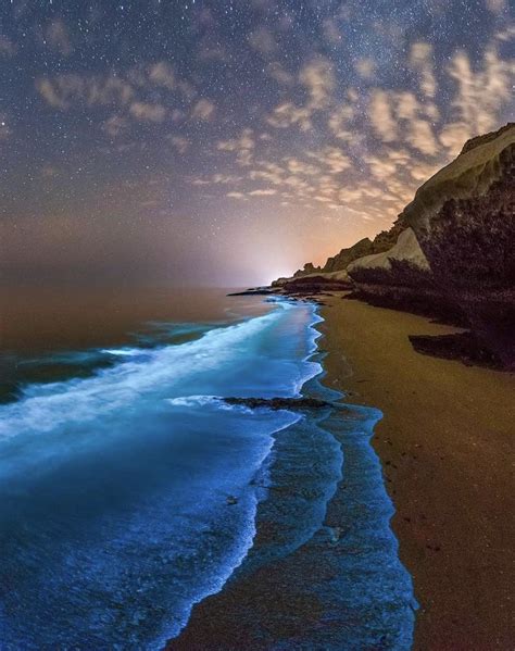 Bioluminescent plankton lighting the beaches is the Persian Gulf, Iran ...