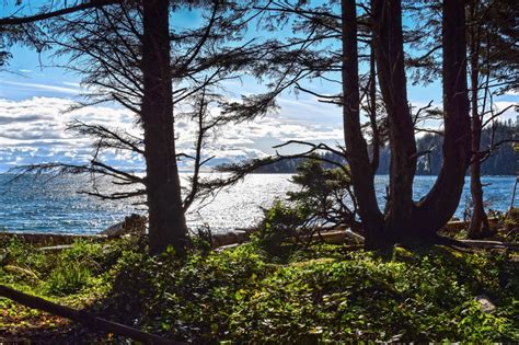 Visit French Beach Provincial Park • British Columbia Magazine