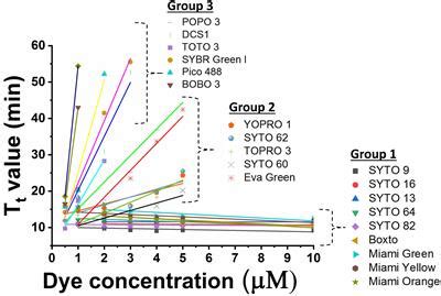 Frontiers | Classification of Multiple DNA Dyes Based on Inhibition Effects on Real-Time Loop ...