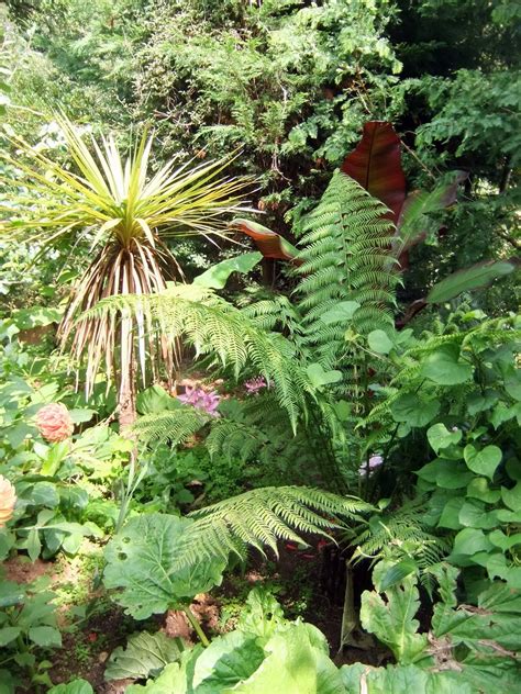 Ben Candlin - Adventurous Gardens: A Devon Jungle Garden!