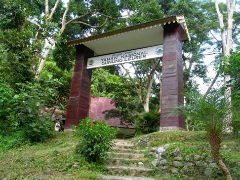 Sejarah dan Perjalanan Taman Nasional Gunung Leuser: Rumah Bagi Satwa Dilindungi