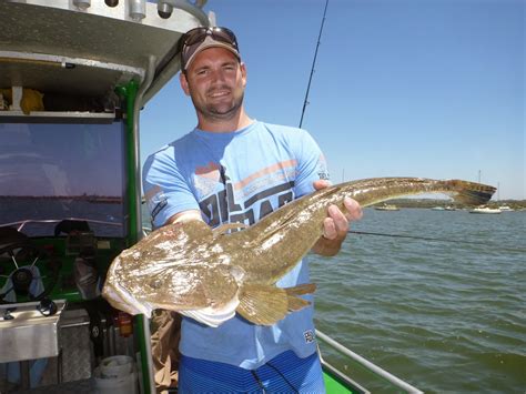 Botany Bay Fishing Report with Scotty Lyons: January 2014