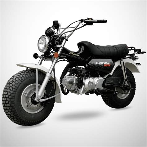 T-REX 125 – Skyteam Motorcycle