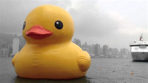 Giant Rubber Duck Wallpaper (77+ images)