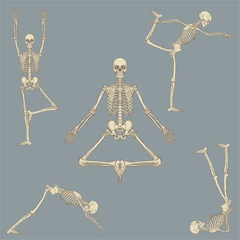 Human Skeleton Yoga Positions Set 1166068 Vector Art at Vecteezy