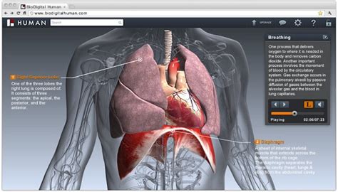 BioDigital Raised $4M to Deliver 3D Anatomy to Browsers