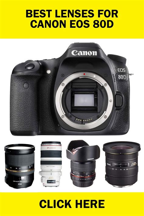 Best Lenses for Canon EOS 80D | Canon lens, Canon, Canon dslr camera