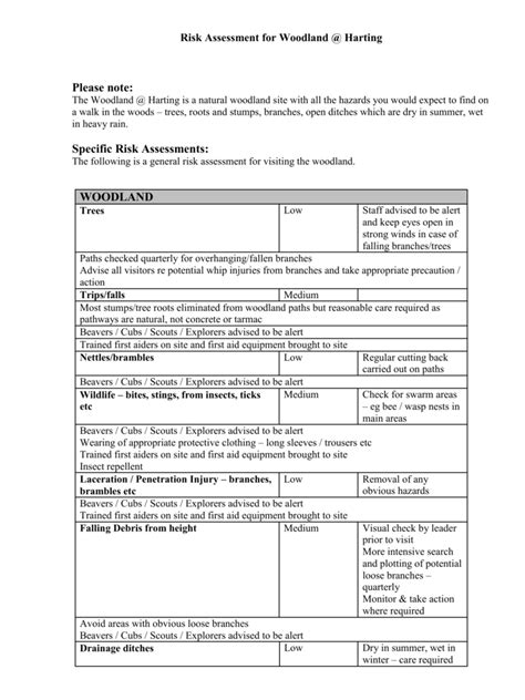 Scouts Risk Assessment Template