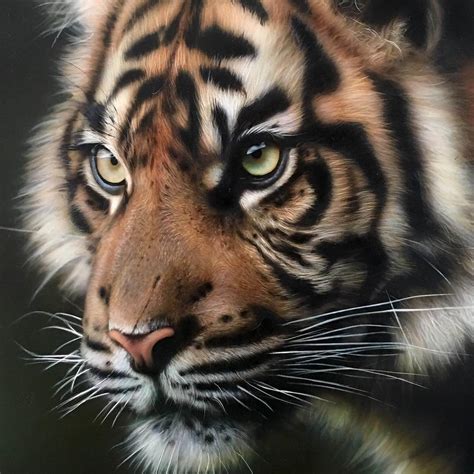 Design Stack: A Blog about Art, Design and Architecture: Realistic Airbrush Animal Paintings