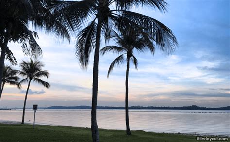 9 Reasons Why Pasir Ris Park Is Awesome For a Day of Exploration - Little Day Out