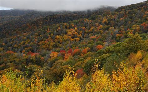 Great Smoky Mountains Wallpapers - Top Free Great Smoky Mountains ...