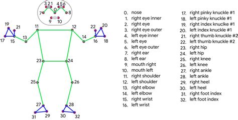 YOLOv7 Pose vs MediaPipe in Human Pose Estimation