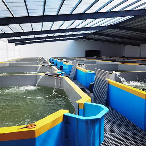 Indoor Fish Farming Equipment Recirculating Aquaculture System, China Indoor Fish Farming ...