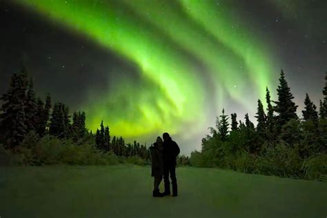 10 Exceptional Alaska Northern Lights Tours for 2024-2025 - Sea to ...