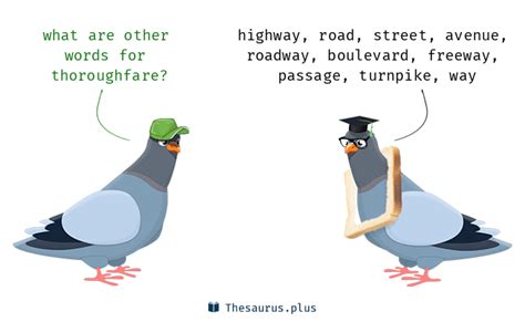 Thoroughfare synonyms that belongs to nouns