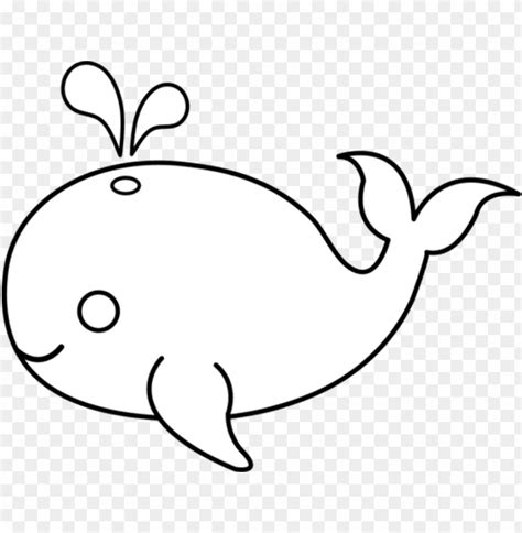 Cute Whale Drawing Cute Whale Drawing Management Science - Animals Easy To Draw Outline PNG ...