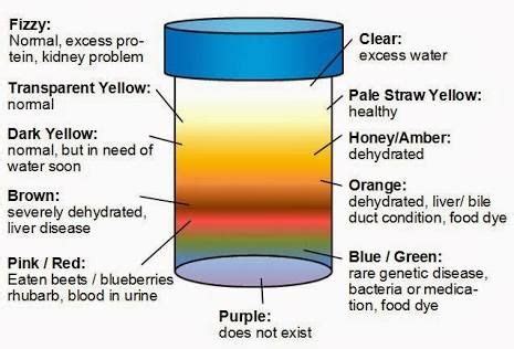 Nature and Health: Abnormal Urine Color: What It Tells And Doesnt Tel... Healthy Book, Healthy ...