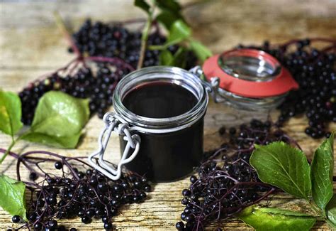 Homemade Elderberry Syrup: Immune Boosting Recipe