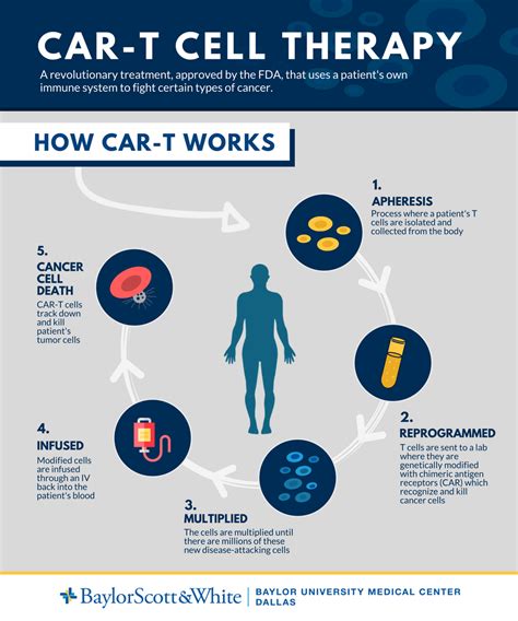 CAR-T Cell Therapy