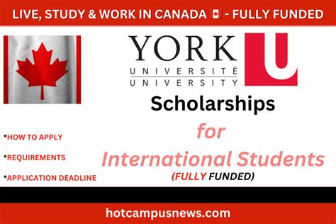 Study For Free In Canada🇨🇦 On Fully Funded York University Scholarships ...