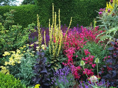 A colourful herbaceous border Edging Plants, Plants Uk, Border Plants, Cool Plants, Cottage ...