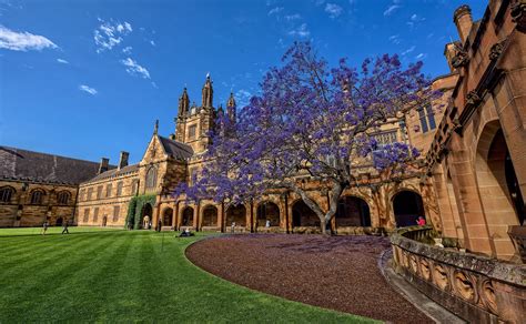 The University of Sydney - Go Abroad Worldwide Study