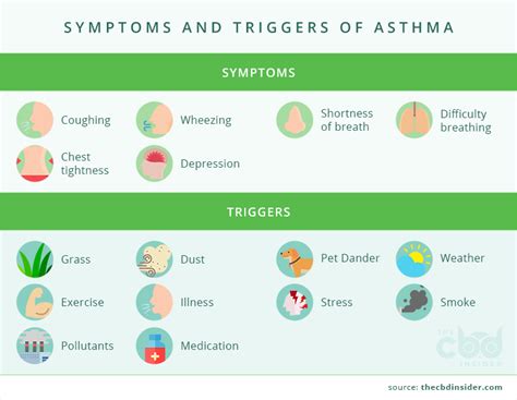 How CBD is Providing Hope for Asthma Patients | The CBD Insider : The CBD Insider