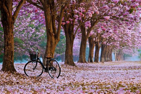 Romantic Spring Desktop Wallpapers - Top Free Romantic Spring Desktop ...