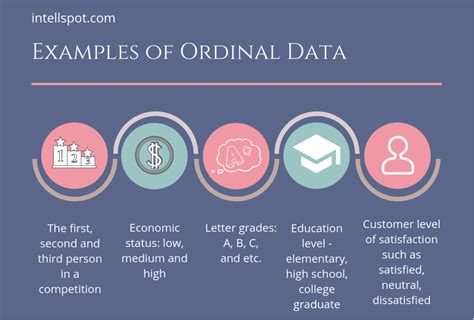 What is Ordinal Data? Examples + How Businesses Can Use It