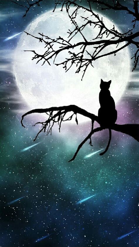 500+ Black Cat Moon Wallpapers & Background Beautiful Best Available For Download Black Cat Moon ...